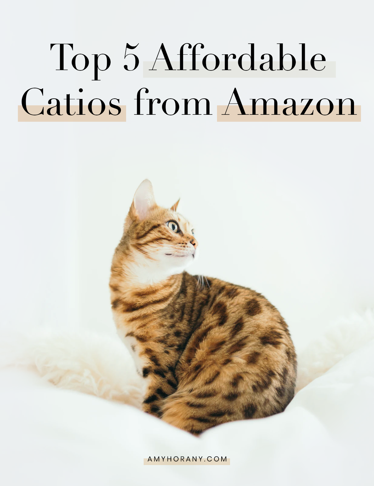 Catio Spaces, Cat Enclosures, Cat Runs, Catios, Amazon