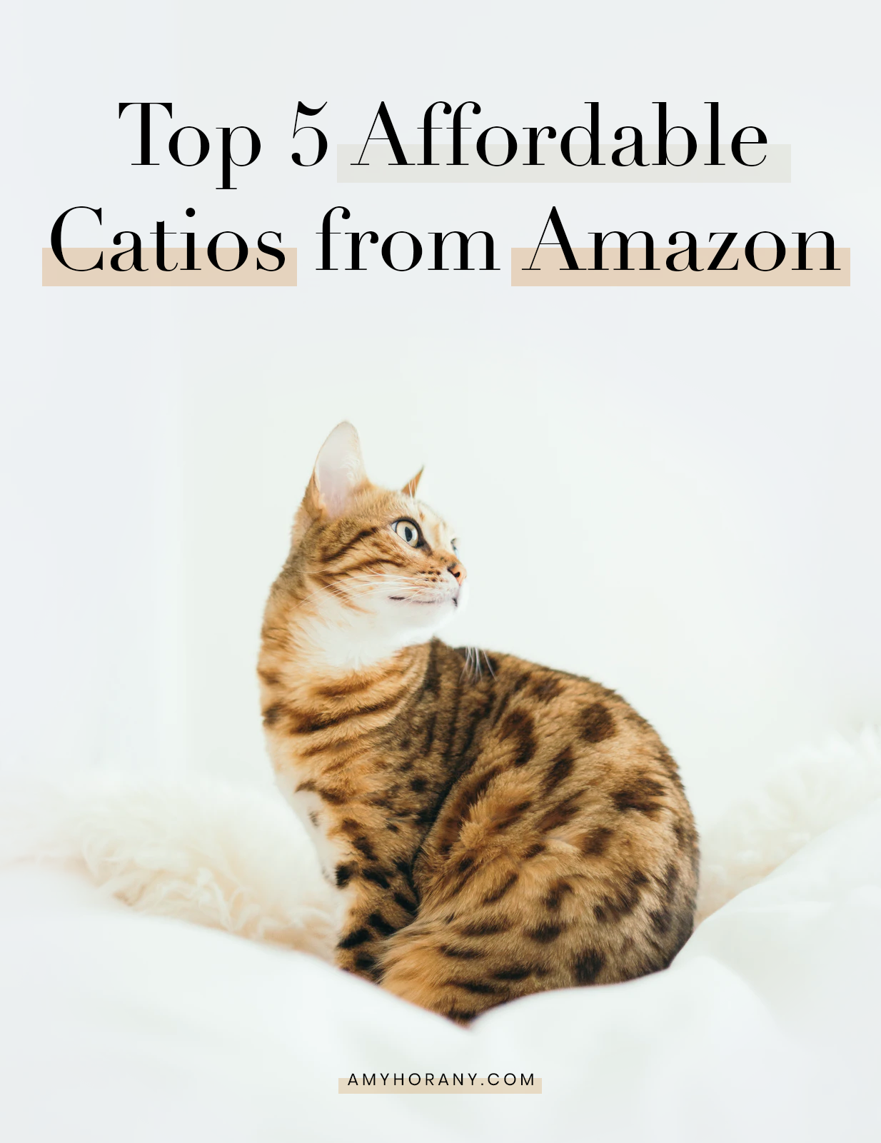 Catio Spaces, Cat Enclosures, Cat Runs, Catios, Amazon Catio Spaces, Cat Enclosures, Cat Runs, Catios, Amazon
