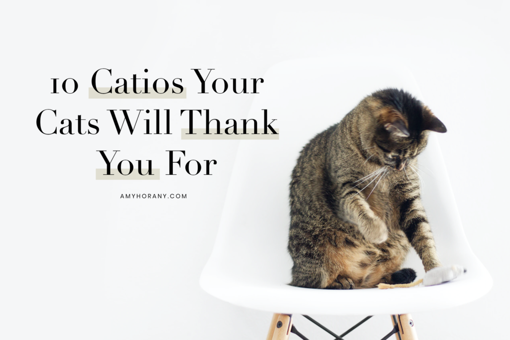Catio Spaces, Cat Enclosures, Cat Runs, Catios, Amazon