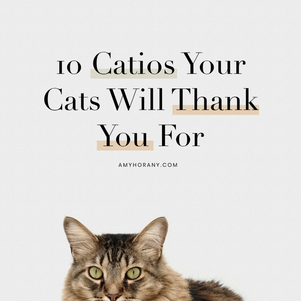 Catio Spaces, Cat Enclosures, Cat Runs, Catios, Amazon