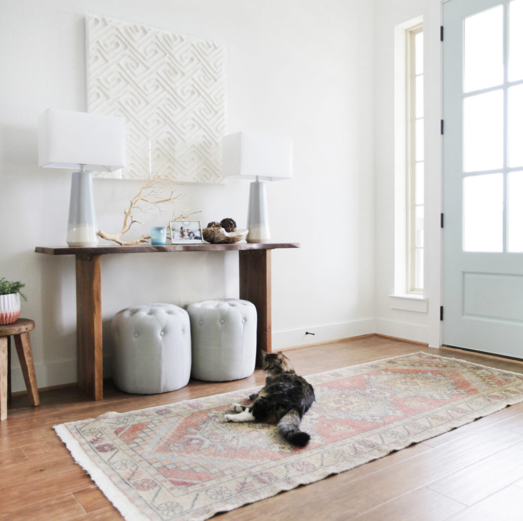 cat, indoor cat, indoor cat in home cat, indoor cat, indoor cat in home