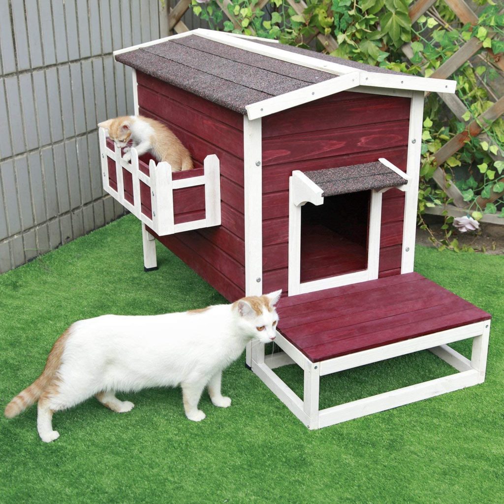 Catio Spaces, Cat Enclosures, Cat Runs, Catios, Amazon