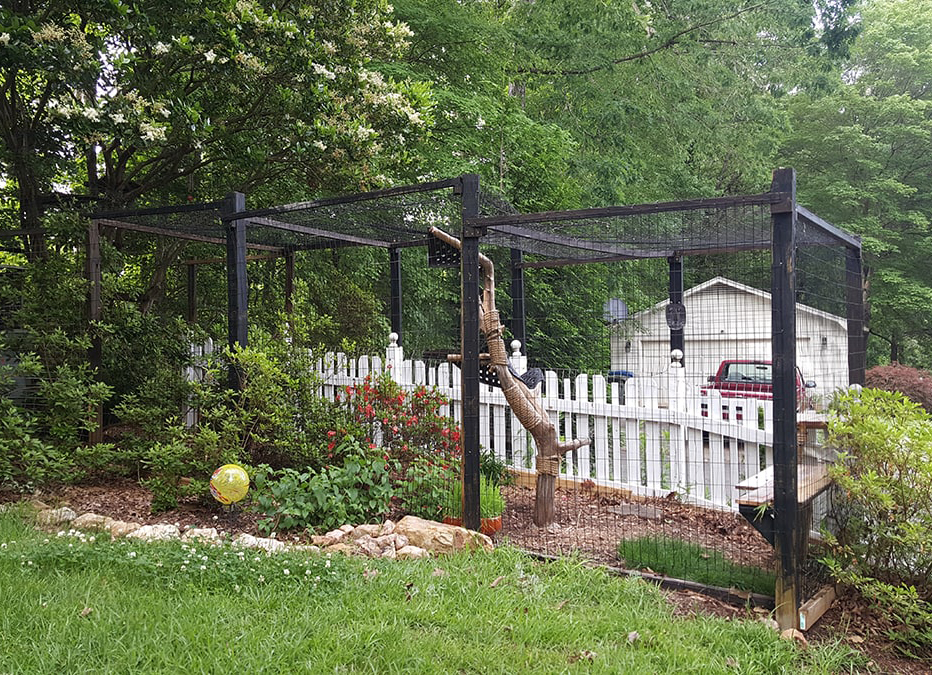 Catio Spaces, Cat Enclosures, Cat Runs, Catios