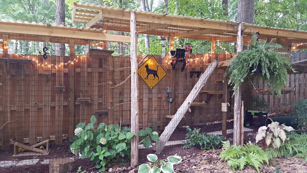 Catio Spaces, Cat Enclosures, Cat Runs, Catios