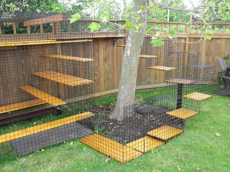 Catio Spaces, Cat Enclosures, Cat Runs, Catios