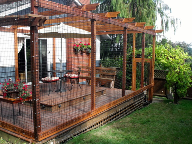 10 Catios & Cat Enclosures Your Cats Will Thank You For